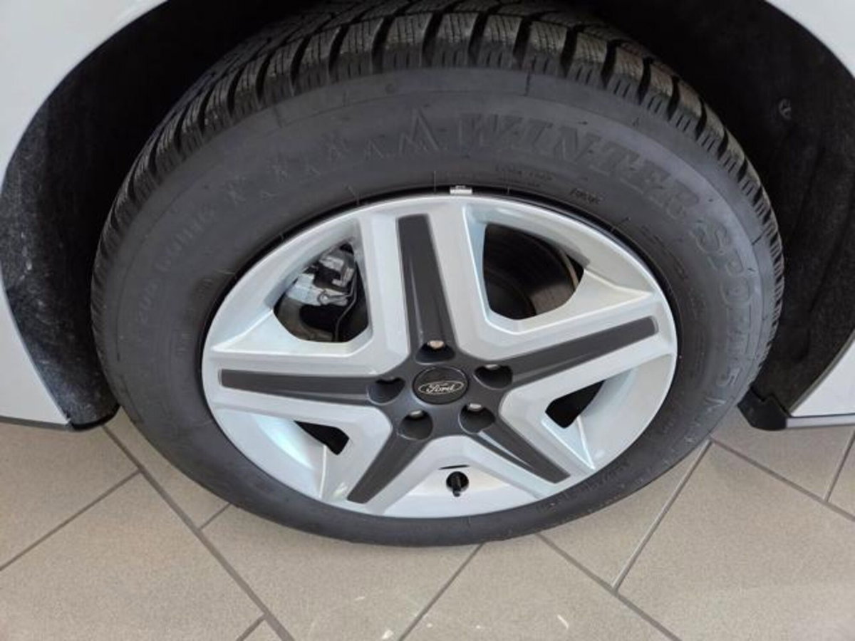 Ford Focus Station Wagon 1.5 EcoBlue 120 CV automatico SW Business (4)