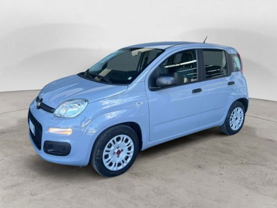 Fiat Panda Cross Cross 1.0 FireFly S&S Hybrid usata