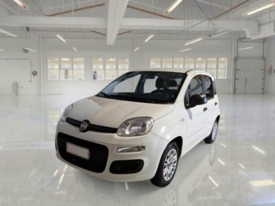Fiat Panda 1.2 usata