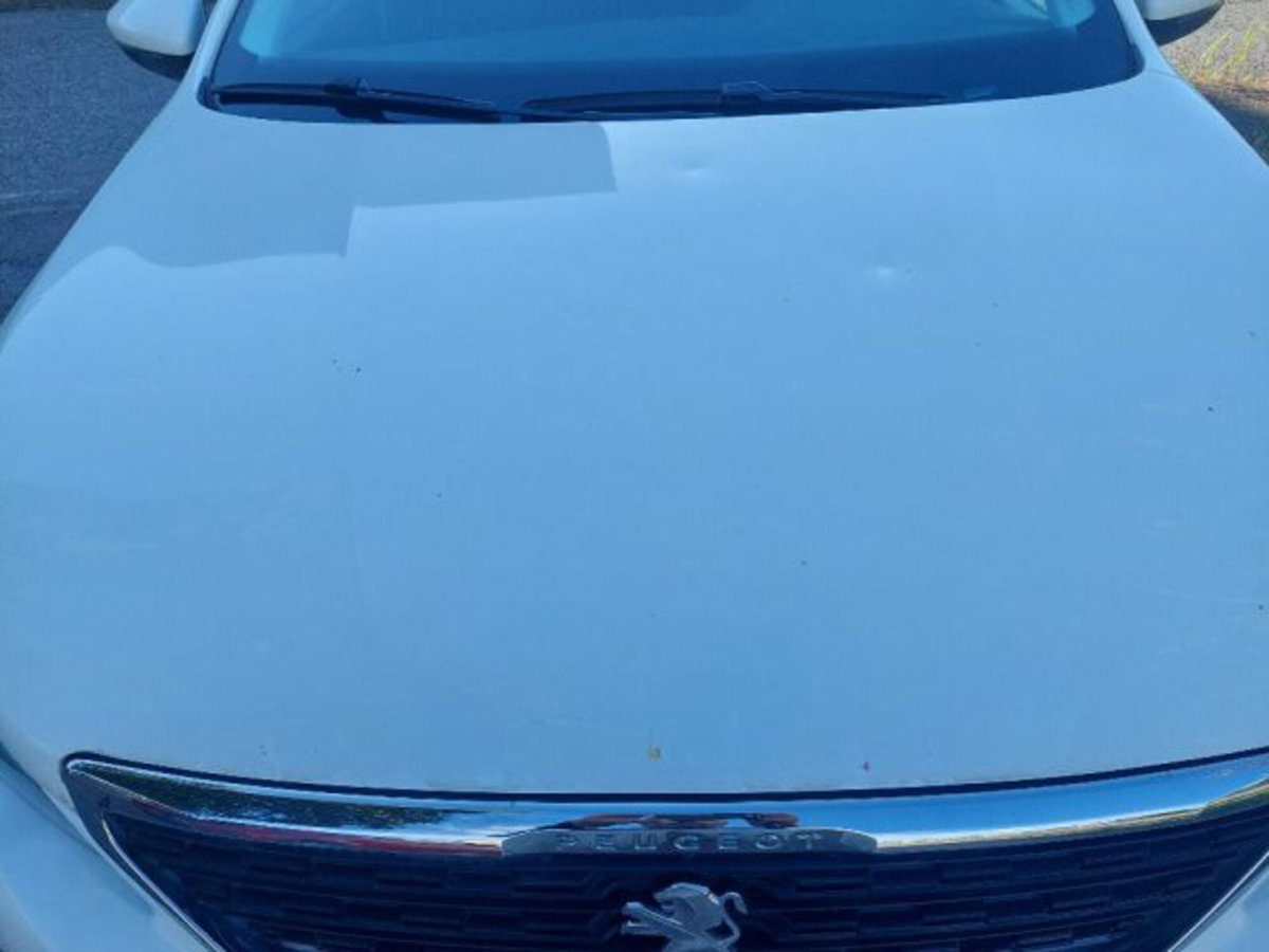 Peugeot 308 SW BlueHDi 100 S&S Business (7)