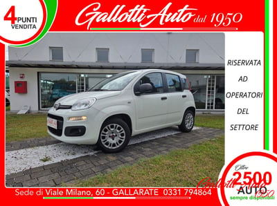 Fiat Panda 1.2 Easy usata
