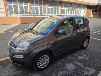 Fiat Panda 1.2 EasyPower Easy usata
