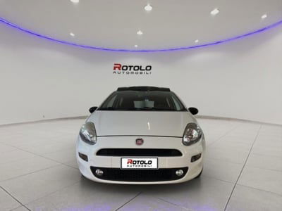 Fiat Punto 1.4 8V 5 porte Easypower Lounge usata