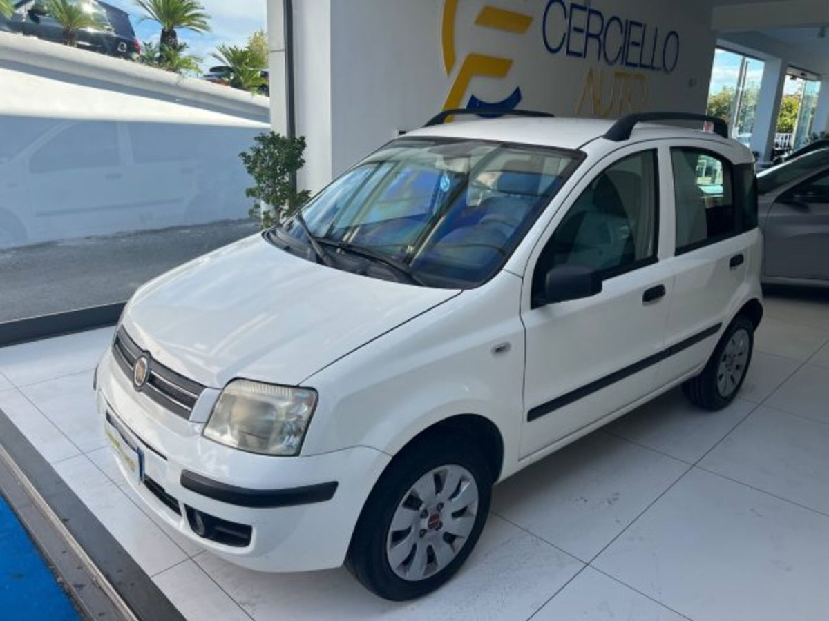 Fiat Panda 1.2 Dynamic Natural Power (3)