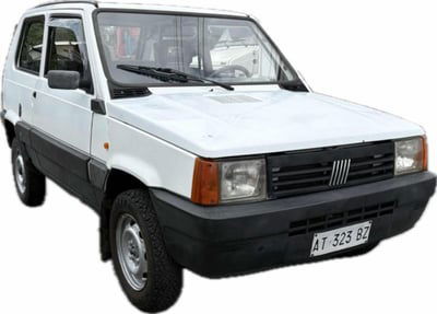 Fiat Panda 1100 i.e. cat 4x4 Country Club usata