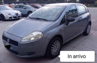Fiat Grande Punto 1.2 5 porte Actual usata