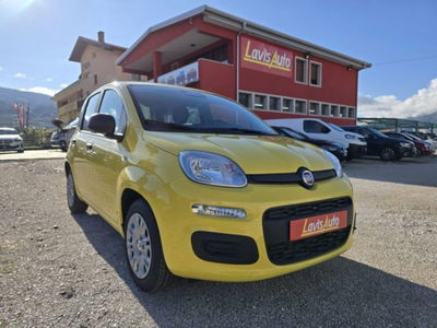 Fiat Panda 1.0 firefly hybrid s&s 70cv 5p.ti nuova