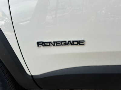 Jeep Renegade 1.6 Mjt 130 CV Limited (3)