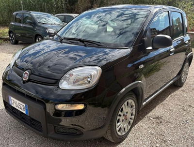 Fiat Panda 1.0 firefly hybrid s&s 70cv 5p.ti usata
