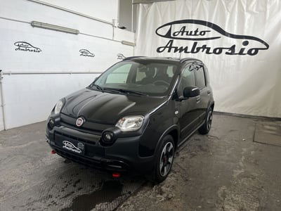 Fiat Panda Cross Cross 1.0 FireFly S&S Hybrid usata