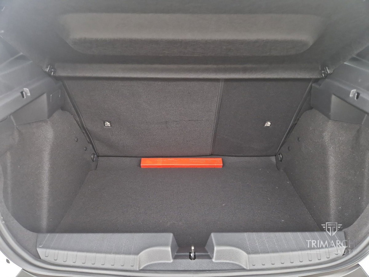 Fiat Grande Panda 1.2 hybrid Icon 110cv edct (10)