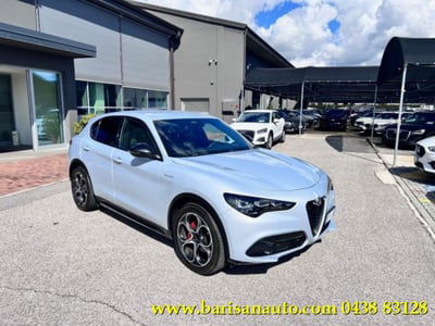 Alfa Romeo Stelvio Stelvio 2.2 Turbodiesel 210 CV AT8 Q4 Veloce usata