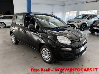 Fiat Panda 1.0 firefly hybrid s&s 70cv 5p.ti usata