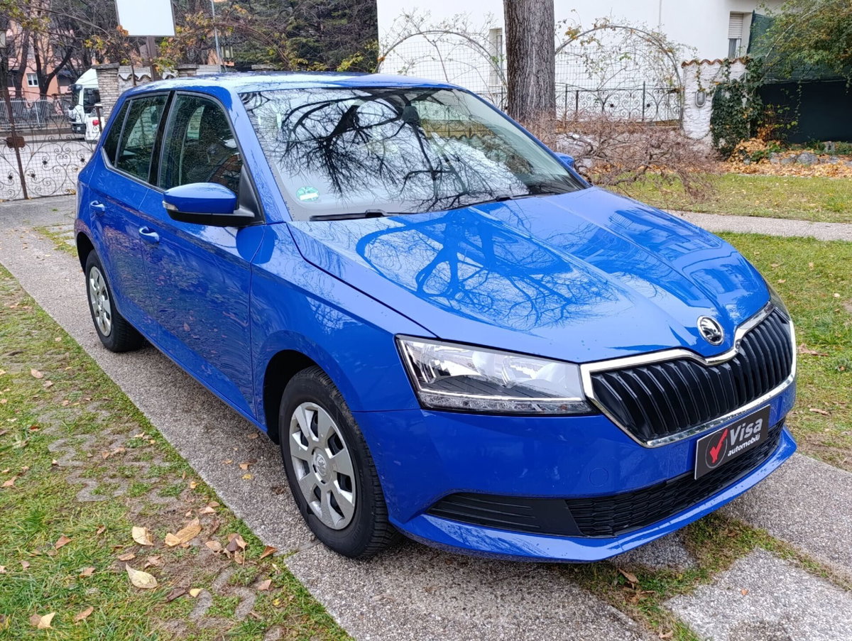 Skoda Fabia 1.0 MPI 75 CV Business (7)