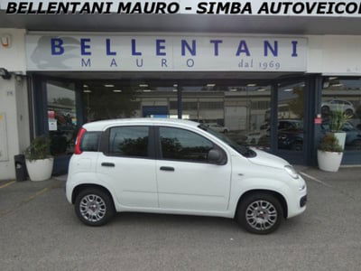 Fiat Panda 1.2 EasyPower Easy usata