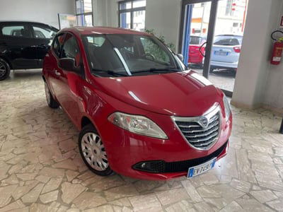 Lancia Ypsilon 1.2 69 CV 5 porte Elefantino usata