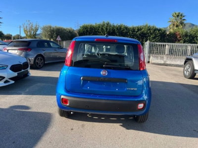 Fiat Panda 1.0 firefly hybrid s&s 70cv 5p.ti (3)