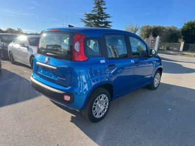 Fiat Panda 1.0 firefly hybrid s&s 70cv 5p.ti (4)