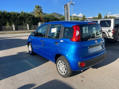 Fiat Panda 1.0 firefly hybrid s&s 70cv 5p.ti (5)