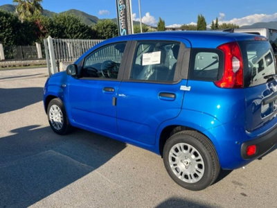 Fiat Panda 1.0 firefly hybrid s&s 70cv 5p.ti (6)