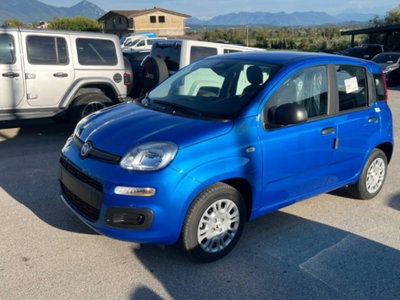 Fiat Panda 1.0 firefly hybrid s&s 70cv 5p.ti (7)