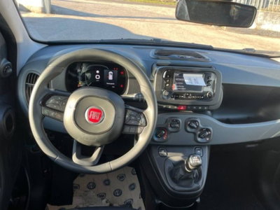 Fiat Panda 1.0 firefly hybrid s&s 70cv 5p.ti (8)