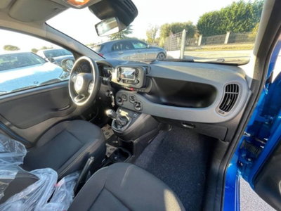 Fiat Panda 1.0 firefly hybrid s&s 70cv 5p.ti (9)