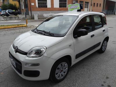 Fiat Panda 1.2 Easy usata