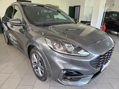 Ford Kuga 2.0 EcoBlue 120 CV aut. AWD ST-Line usata