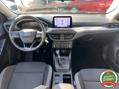 Ford Focus Station Wagon 1.5 EcoBlue 120 CV automatico SW Business (8)
