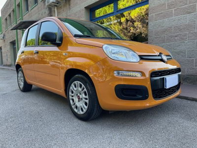 Fiat Panda 1.0 firefly hybrid s&s 70cv 5p.ti usata