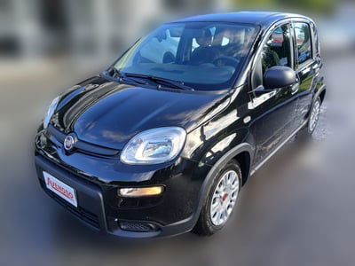 Fiat Panda 1.0 FireFly S&S Hybrid usata