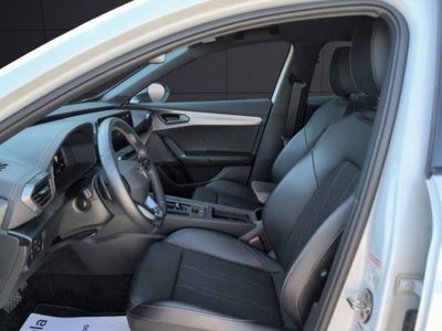 Cupra Formentor Formentor 2.0 tdi 4drive 150cv dsg (11)