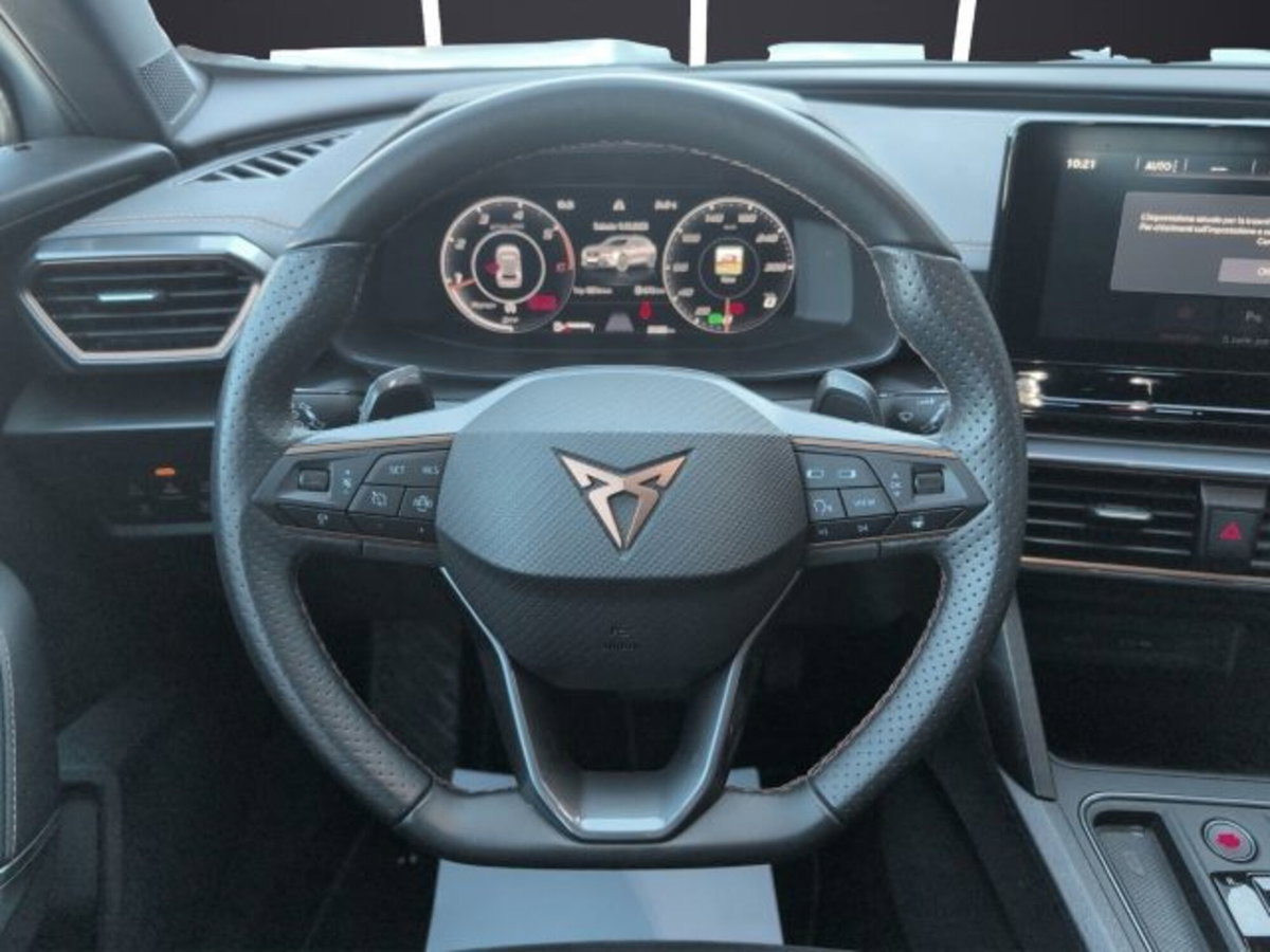 Cupra Formentor Formentor 2.0 tdi 4drive 150cv dsg (16)