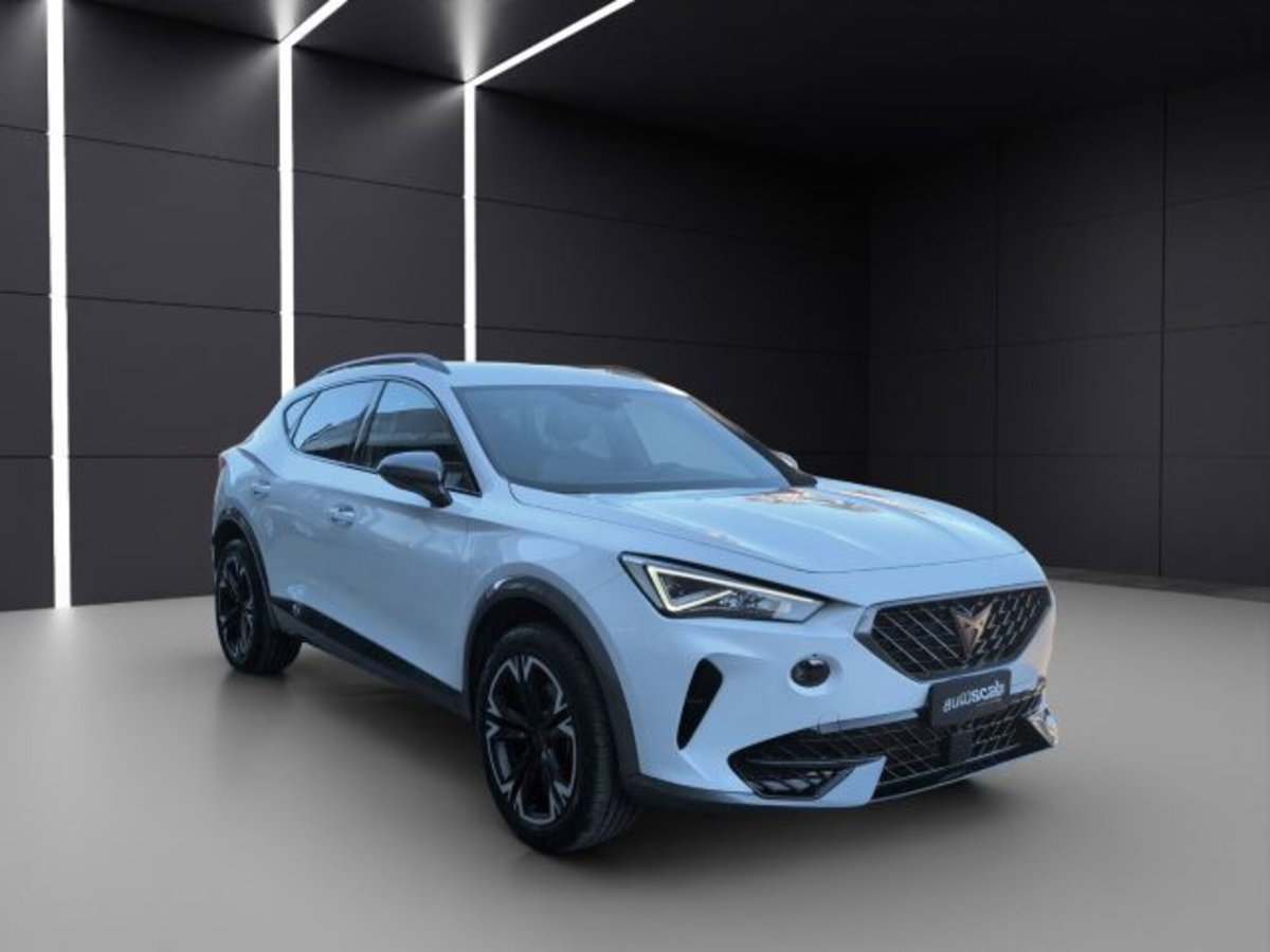 Cupra Formentor Formentor 2.0 tdi 4drive 150cv dsg (8)