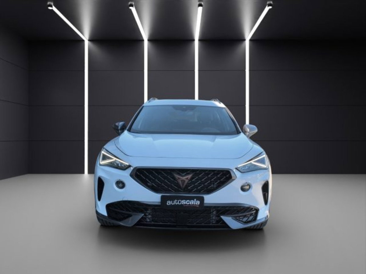 Cupra Formentor Formentor 2.0 tdi 4drive 150cv dsg (9)