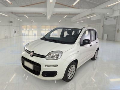 Fiat Panda 1.2 Easy Van 4 posti