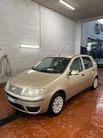 Fiat Punto Classic 1.2 5 porte Active usata