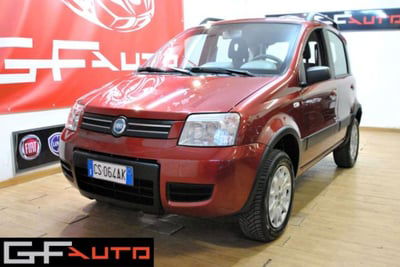 Fiat Panda 1.2 4x4 Climbing usata