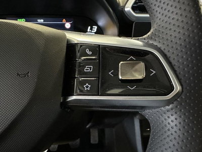 Mg ZS 1.5 Standard (14)