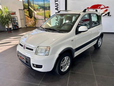 Fiat Panda 1.2 Cross Natural Power usata
