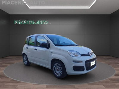 Fiat Panda 1.0 firefly hybrid s&s 70cv 5p.ti usata