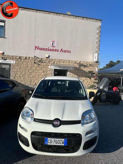 Fiat Panda 1.2 Easy usata
