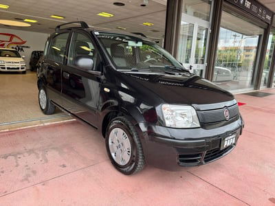 Fiat Panda 1.2 Dynamic usata