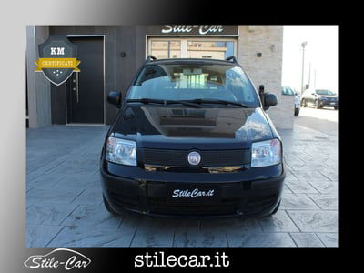 Fiat Panda 1.2 Dynamic usata