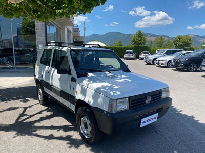 Fiat Panda 1100 i.e. cat 4x4 Trekking usata