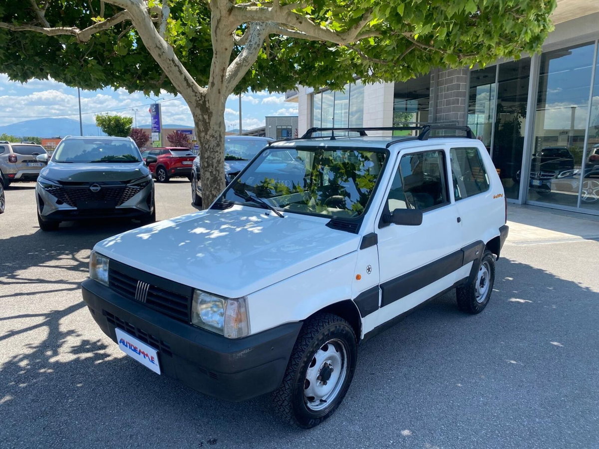 Fiat Panda 1100 i.e. cat 4x4 Trekking (3)