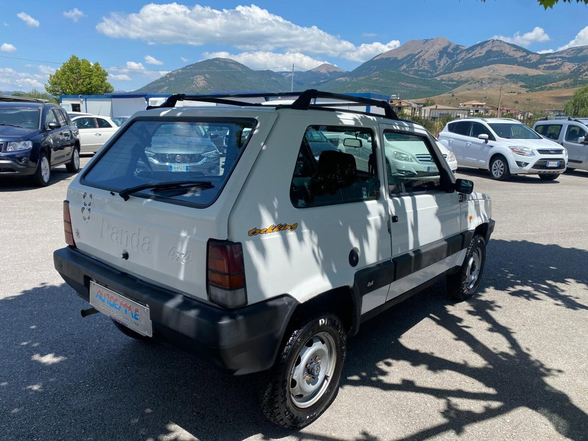 Fiat Panda 1100 i.e. cat 4x4 Trekking (5)