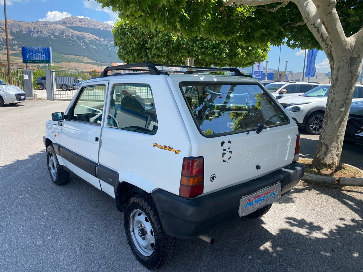 Fiat Panda 1100 i.e. cat 4x4 Trekking (6)