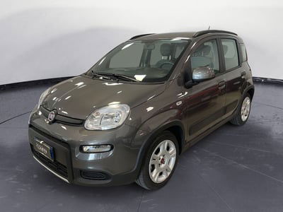 Fiat Panda 1.0 FireFly S&S Hybrid City Cross usata